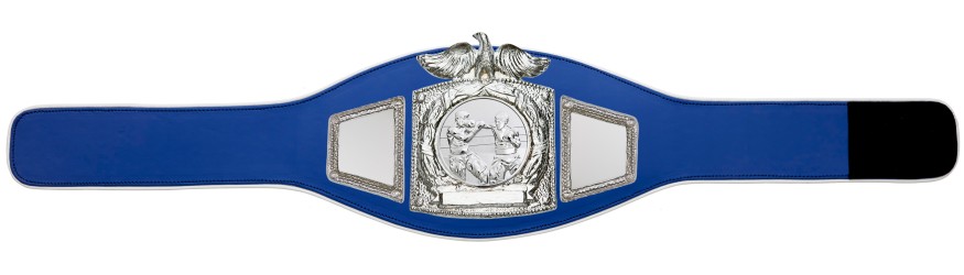 PROEAGLE BOXING CHAMPIONSHIP BELT - PROEAGLE/S/BOXS - AVAILABLE IN 6+ COLOURS PROEAGLE BOXING CHAMPIONSHIP BELT - PROEAGLE/S/BOXS - AVAILABLE IN 6+ COLOURS
